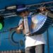 Esperados 500 tocadores de concertina na Barrenta