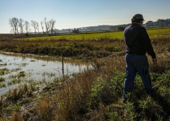 Há 34 parcelas do Vale do Lis a  concurso para aproveitamento agrícola