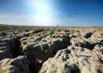 Tribunal Europeu aprecia queixa de jovens portugueses que pode mudar futuro da acção climática