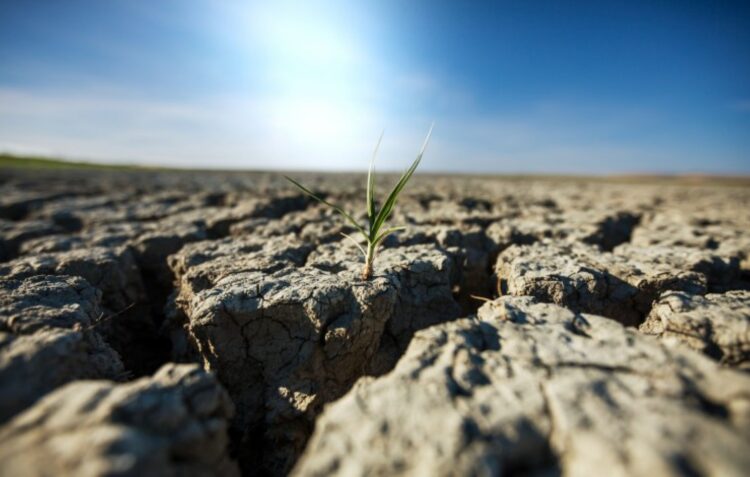 Tribunal Europeu aprecia queixa de jovens portugueses que pode mudar futuro da acção climática