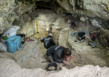 Já foram encontrados 4.000 vestígios  humanos no Abrigo da Buraca da Moira, em Leiria