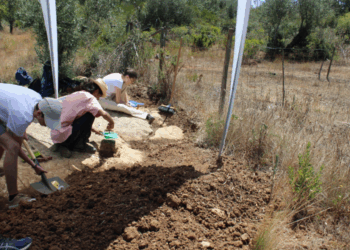 Pegadas de dinossauros mais antigas da  Península Ibérica descobertas em Alvaiázere