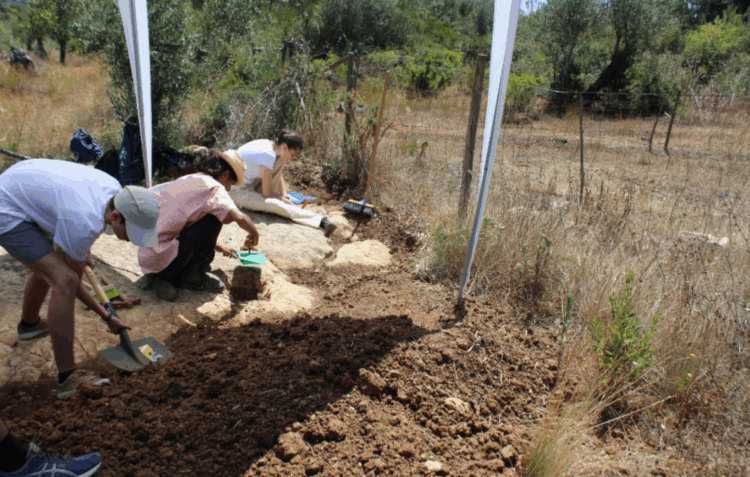 Pegadas de dinossauros mais antigas da Península Ibérica descobertas em Alvaiázere
