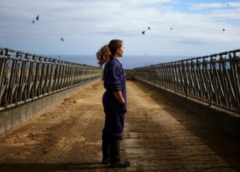 Rui Caria fotografou as “Mulheres da Terra” para documentar a vida árdua na lavoura