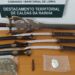 Armas e droga apreendidas pela GNR em Peniche