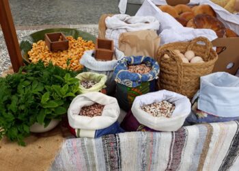 Mercado da Tradição regressa a Leiria para valorizar produtos endógenos