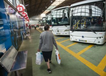 Leiria e Marinha Grande vão ter ligação “rápida” de autocarro pela A8