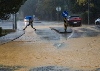 Protecção Civil de Leiria alerta para cuidados na estrada