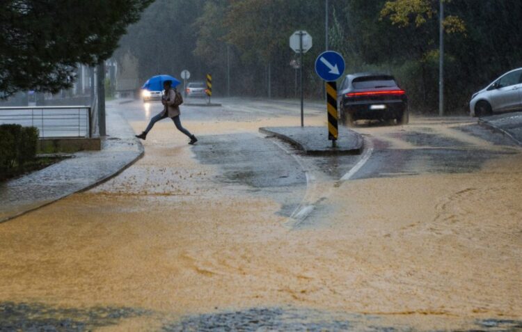 Protecção Civil de Leiria alerta para cuidados na estrada
