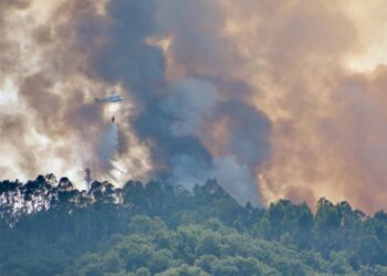 Incêndio à entrada de Leiria mobiliza mais de uma centena de bombeiros