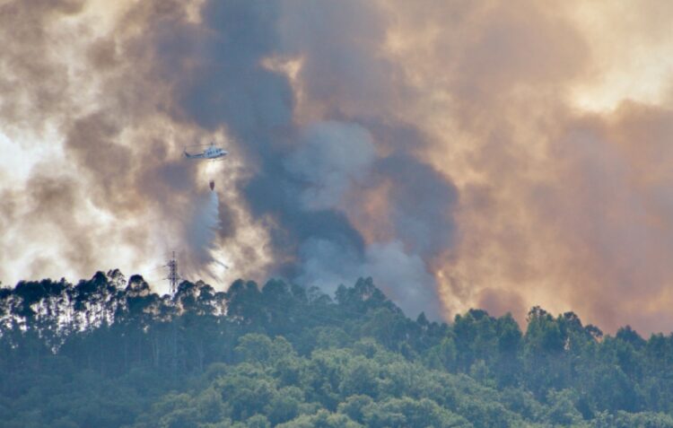 Incêndio à entrada de Leiria mobiliza mais de uma centena de bombeiros