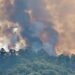 Incêndio à entrada de Leiria mobiliza mais de uma centena de bombeiros