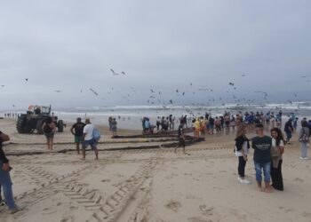 Praia da Vieira e São Pedro de Moel vigiadas este fim-de-semana