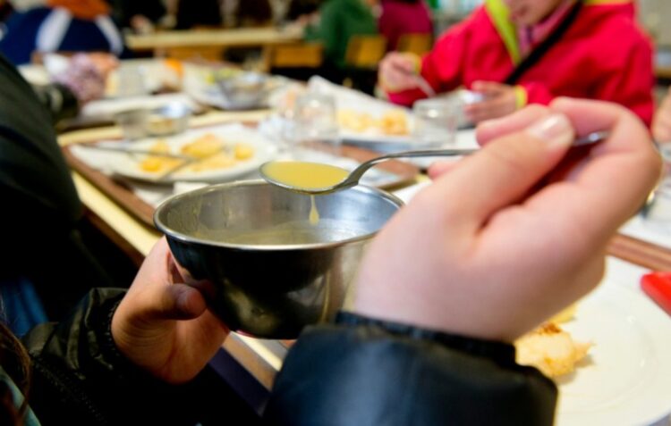 Qualidade e quantidade das refeições escolares preocupa vereadores de Alcobaça