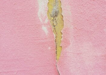Exposição. O relevo nas Topografias de Carla de Sousa