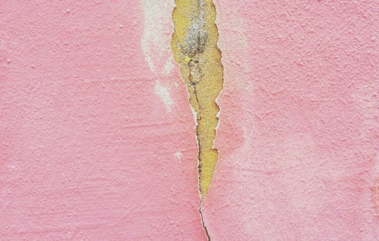 Exposição. O relevo nas Topografias de Carla de Sousa