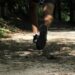 Abertas as inscrições para o Cross Trail A-do-Barbas
