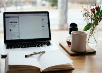 À procura do primeiro emprego? Um guia para jovens profissionais