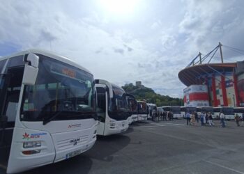 ‘Rápida’ vai ligar Leiria e Marinha Grande pela A8 a partir de Dezembro