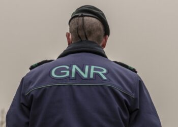 GNR detém homem por caça ilegal em Óbidos