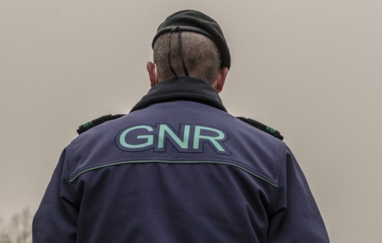 GNR detém homem por caça ilegal em Óbidos