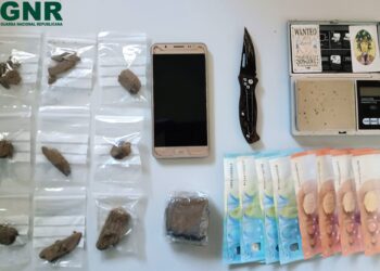 Jovem surpreendido pela GNR com mais de 160 doses de canábis em Vieira de Leiria