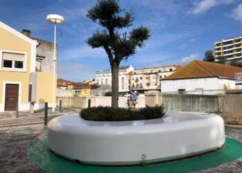Ilhas urbanas instaladas em Leiria estão a funcionar a ‘meio gás’