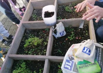 JORNAL DE LEIRIA e Amigos do Arunca desafiam crianças a plantar uma floresta