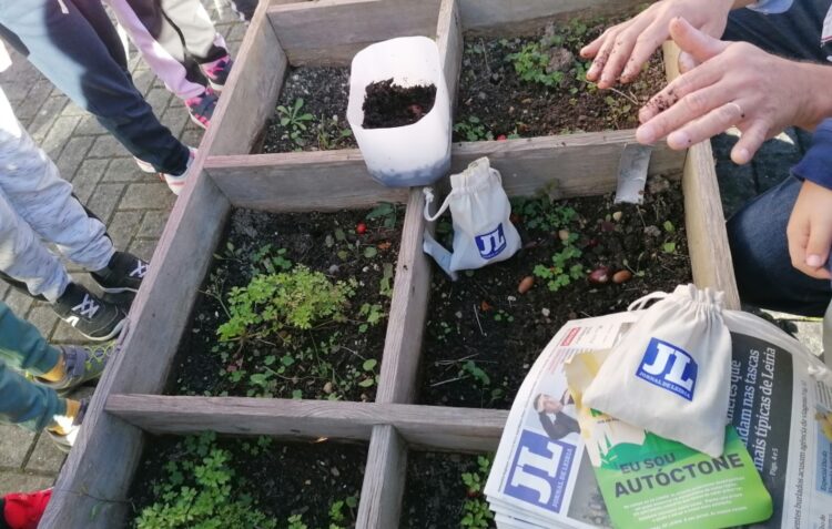 JORNAL DE LEIRIA e Amigos do Arunca desafiam crianças a plantar uma floresta