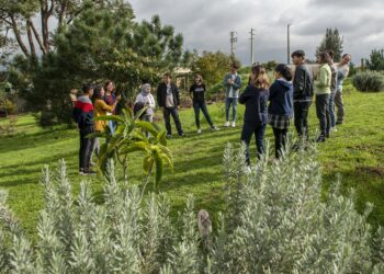 Fugidos dos talibãs, jovens activistas do Afeganistão refazem vida em Leiria