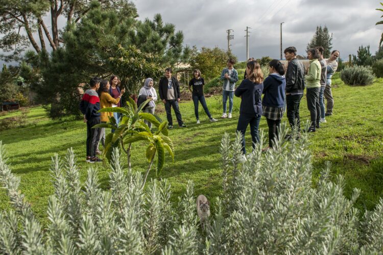 Fugidos dos talibãs, jovens activistas do Afeganistão refazem vida em Leiria
