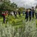 Fugidos dos talibãs, jovens activistas do Afeganistão refazem vida em Leiria