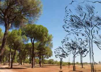 LeiriaShopping convida comunidade a plantar um hectare de pinheiros na Mata do Urso