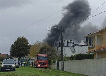 Retiradas crianças do JI de Gândara dos Olivais. Fogo ainda consome Compogal