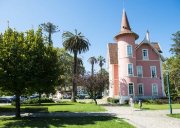Município de Alcobaça aprova orçamento de 63,3 ME para 2024