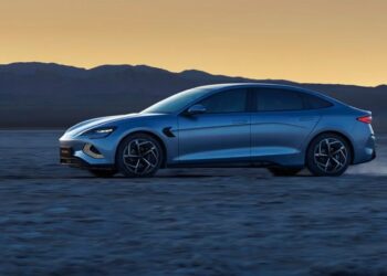 Lizauto é o novo concessionário BYD e a Tesla está a chegar a Leiria