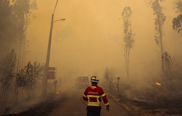 Incêndios consumiram 731 hectares em Leiria
