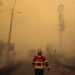 Incêndios consumiram 731 hectares em Leiria