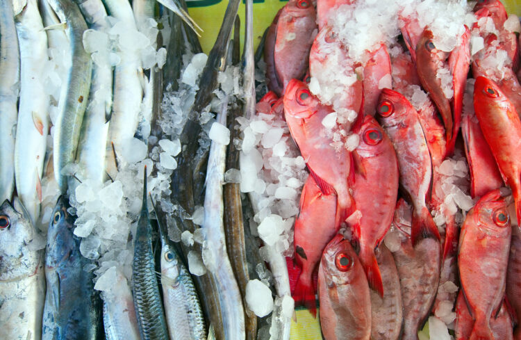 Hasta pública de atribuição de concessão de bancas e de lojas no Mercado Municipal de Pombal