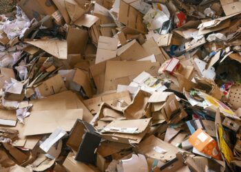 Leiria oferece plantas em troca de papel e de cartão