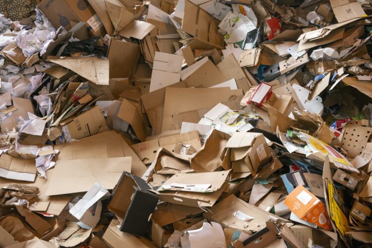 Leiria oferece plantas em troca de papel e de cartão