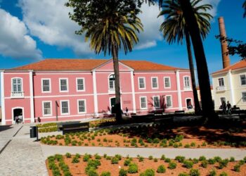 Bibliotecas municipais de Leiria e Marinha Grande emprestaram quase 46 mil livros no ano passado