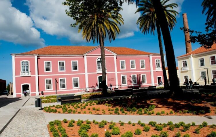 Bibliotecas municipais de Leiria e Marinha Grande emprestaram quase 46 mil livros no ano passado