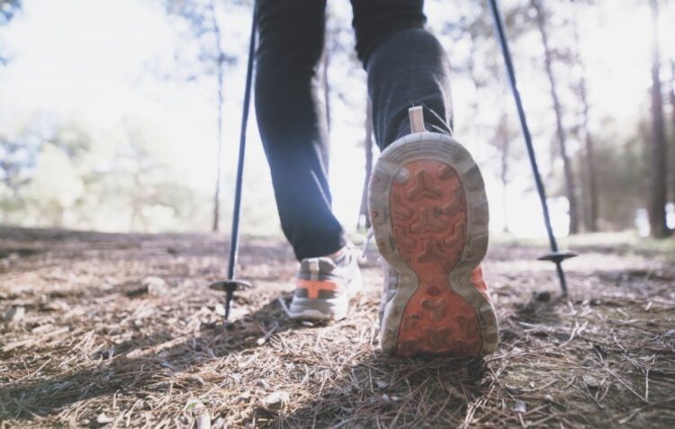Castanheira de Pera lança 12 novas caminhadas temáticas