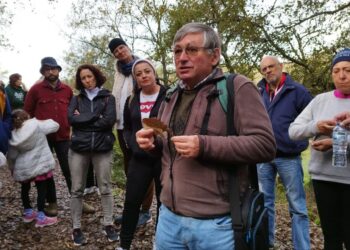 V Conferência Ibérica Sobre a Bolota junta especialistas para discutir utilização e valorização da bolota