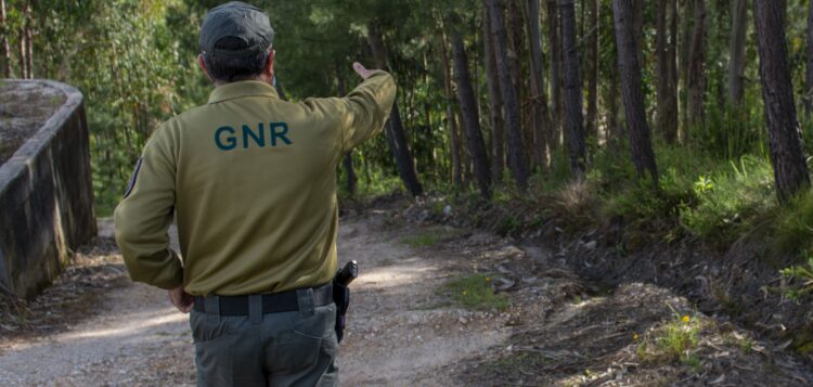 GNR liberta cão preso em Ourém em laço de aço para captura ilegal de javalis