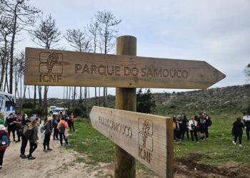 Cerca de 250 pessoas participaram no primeiro passeio pedestre de 2024