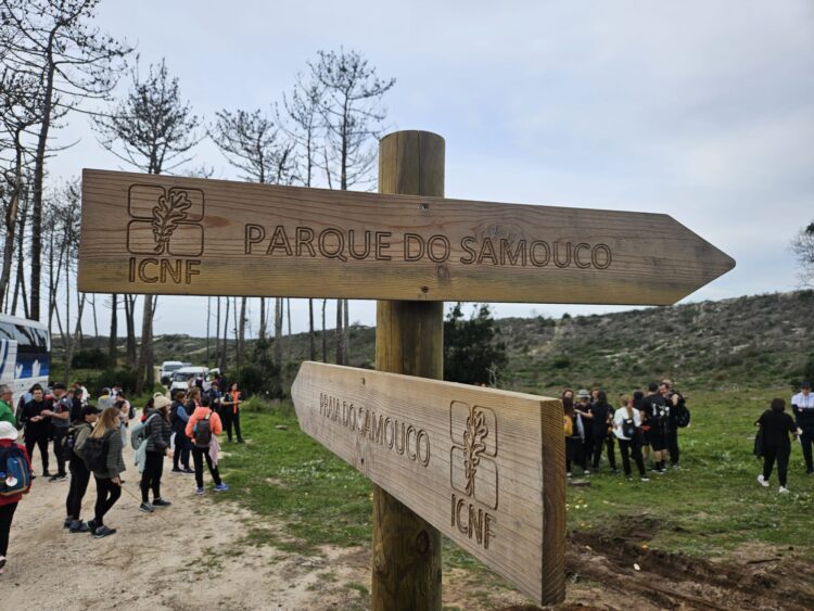 Cerca de 250 pessoas participaram no primeiro passeio pedestre de 2024