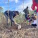 Ágora – Associação Ambiental abriu inscrições para novos associados