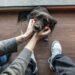 “É quase como se fosse uma criança”. Histórias de contas divididas e saudade na guarda partilhada dos animais de estimação